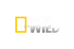 Nat Geo Wild смотреть онлайн